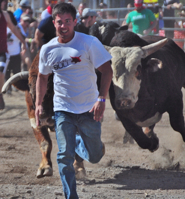 bull runners